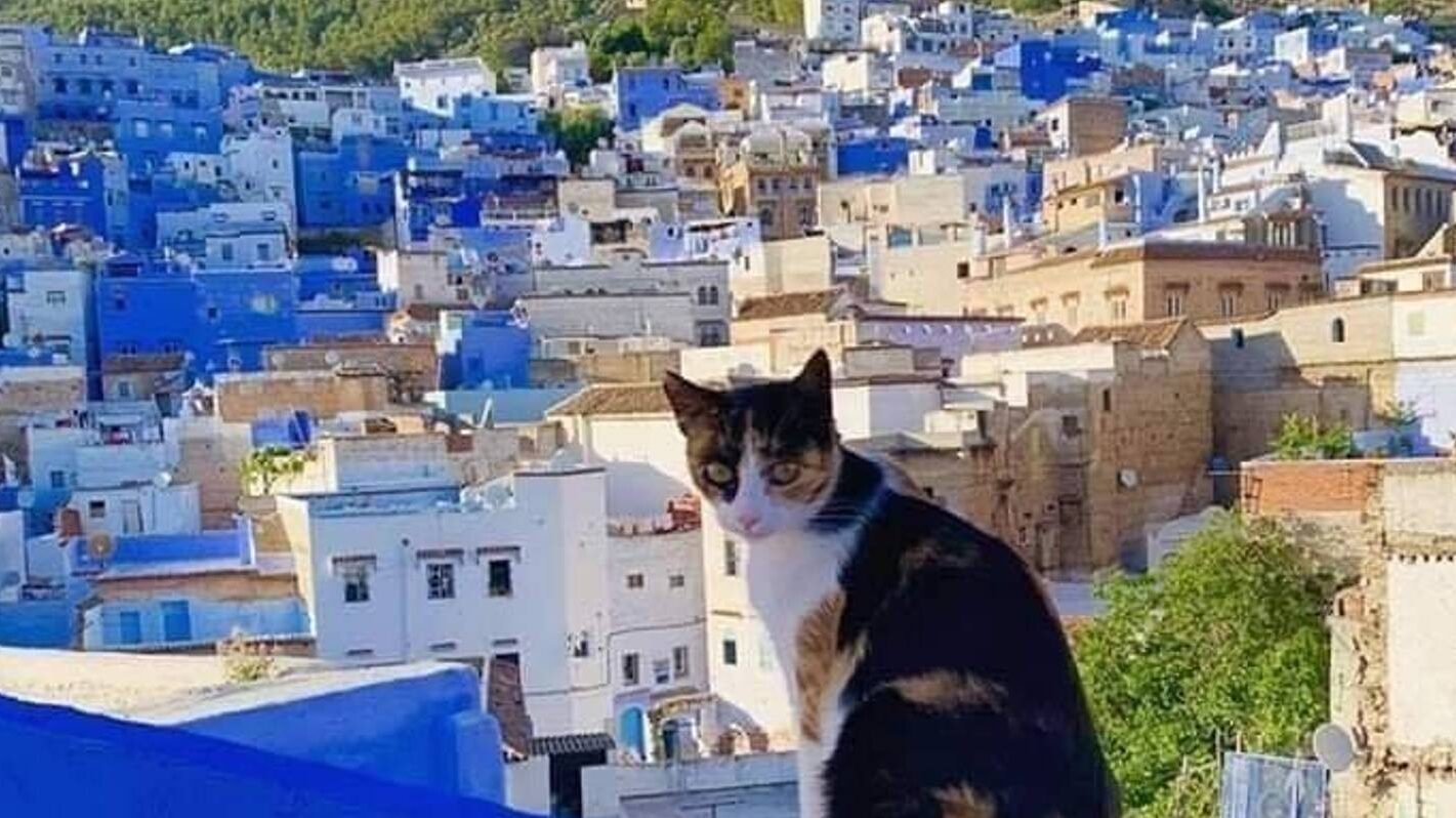 Morocco Sahara desert landscape Morocco Desert Tours adventure