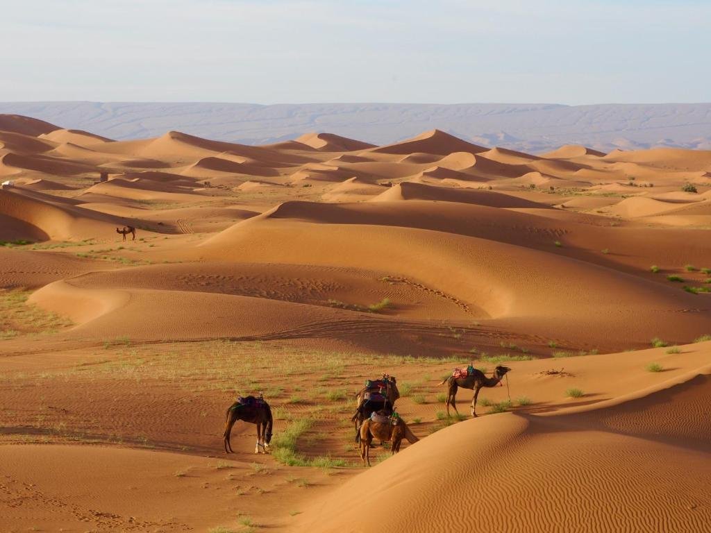 Morocco luxury Tour Sahara camping experience
