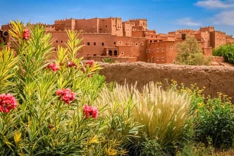 Draa Valley Travel to Morocco palm oasis